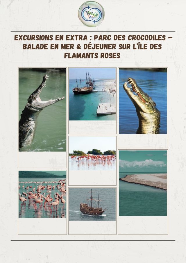 🔔 Excursions en extra : 🐊 Accès au Parc des Crocodiles – Djerba Explore 🛥️ Balade en mer vers l’île des flamants roses avec déjeuner