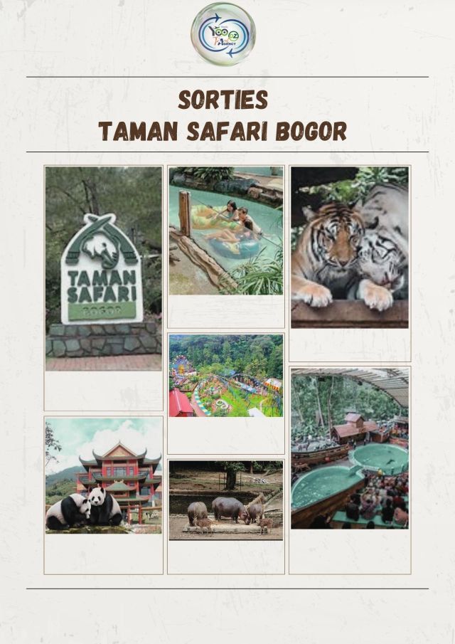 🏙 Taman Safari Park (Bogor – Puncak) 🎟 Safari en voiture à travers le parc 🐅 Spectacles d’animaux : dauphins, tigres, oiseaux exotiques…